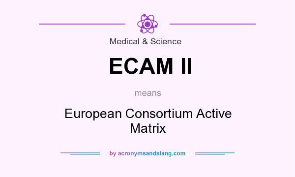 What does ECAM II mean? It stands for European Consortium Active Matrix