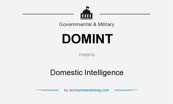 What does DOMINT mean? It stands for Domestic Intelligence