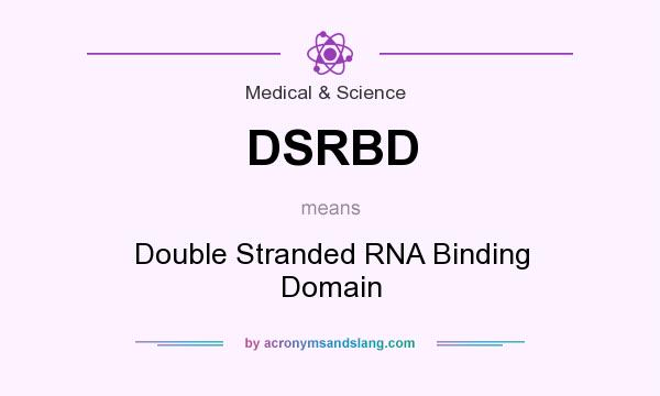 What does DSRBD mean? It stands for Double Stranded RNA Binding Domain