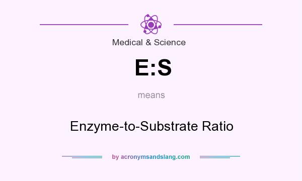 What does E:S mean? It stands for Enzyme-to-Substrate Ratio