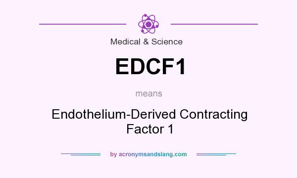 What does EDCF1 mean? It stands for Endothelium-Derived Contracting Factor 1