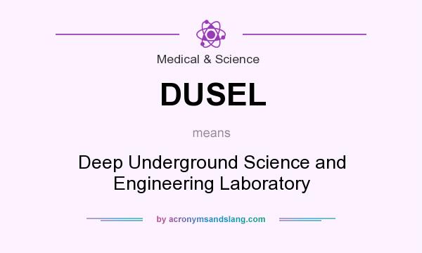 What does DUSEL mean? It stands for Deep Underground Science and Engineering Laboratory