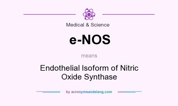 What does e-NOS mean? It stands for Endothelial Isoform of Nitric Oxide Synthase
