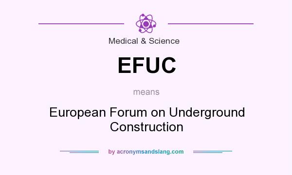 What does EFUC mean? It stands for European Forum on Underground Construction
