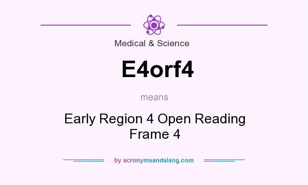 What does E4orf4 mean? It stands for Early Region 4 Open Reading Frame 4