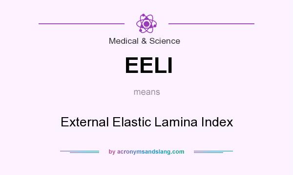 What does EELI mean? It stands for External Elastic Lamina Index