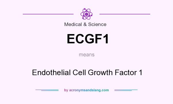 What does ECGF1 mean? It stands for Endothelial Cell Growth Factor 1