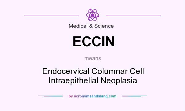 What does ECCIN mean? It stands for Endocervical Columnar Cell Intraepithelial Neoplasia