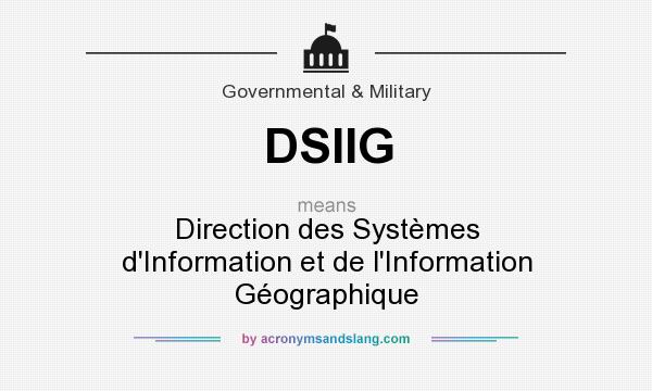 What does DSIIG mean? It stands for Direction des Systèmes d`Information et de l`Information Géographique