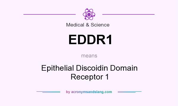 What does EDDR1 mean? It stands for Epithelial Discoidin Domain Receptor 1