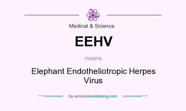 What does EEHV mean? It stands for Elephant Endotheliotropic Herpes Virus