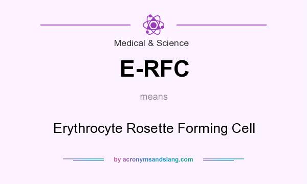 What does E-RFC mean? It stands for Erythrocyte Rosette Forming Cell