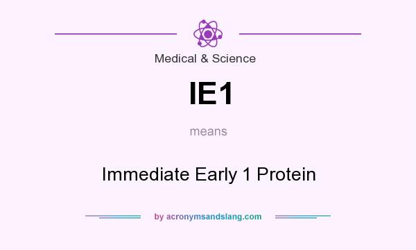 What does IE1 mean? It stands for Immediate Early 1 Protein