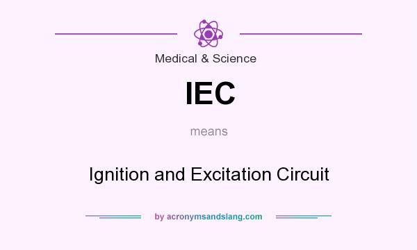 What does IEC mean? It stands for Ignition and Excitation Circuit