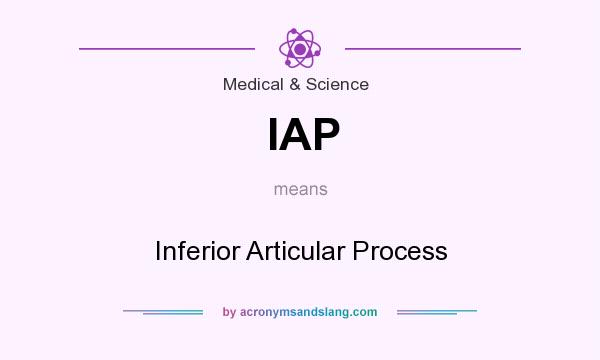 What does IAP mean? It stands for Inferior Articular Process