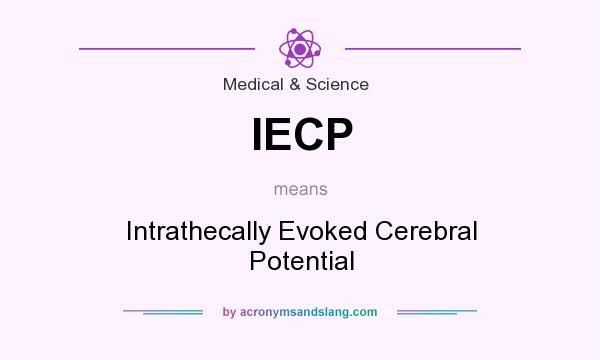What does IECP mean? It stands for Intrathecally Evoked Cerebral Potential