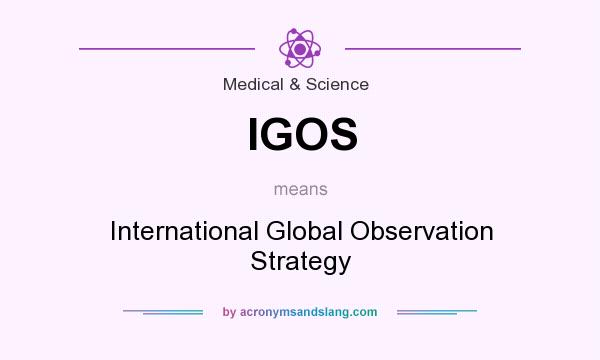 What does IGOS mean? It stands for International Global Observation Strategy