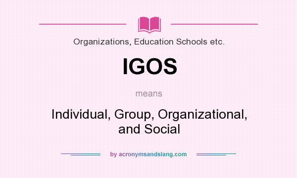 What does IGOS mean? It stands for Individual, Group, Organizational, and Social
