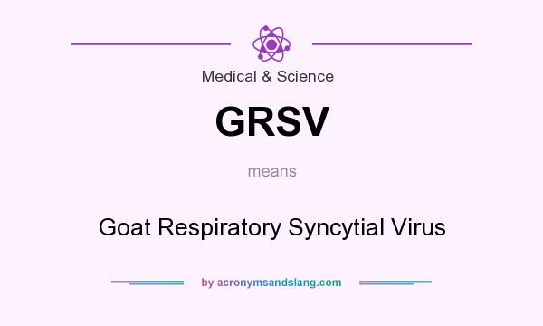 What does GRSV mean? It stands for Goat Respiratory Syncytial Virus