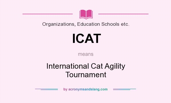 What does ICAT mean? It stands for International Cat Agility Tournament