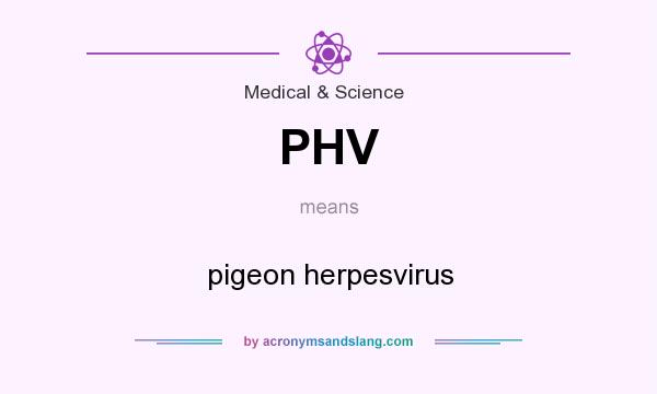 What does PHV mean? It stands for pigeon herpesvirus