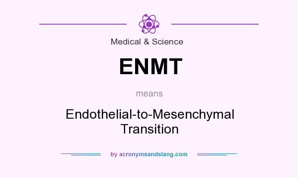 What does ENMT mean? It stands for Endothelial-to-Mesenchymal Transition