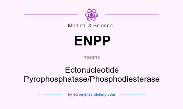 What does ENPP mean? It stands for Ectonucleotide Pyrophosphatase/Phosphodiesterase