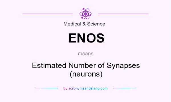 What does ENOS mean? It stands for Estimated Number of Synapses (neurons)