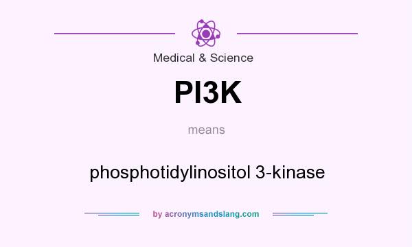 What does PI3K mean? It stands for phosphotidylinositol 3-kinase