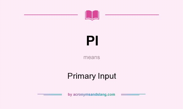 What does PI mean? It stands for Primary Input