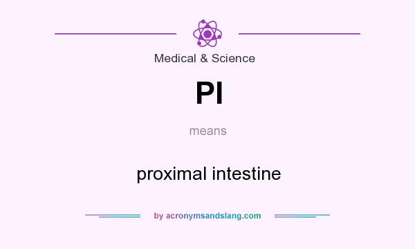 What does PI mean? It stands for proximal intestine
