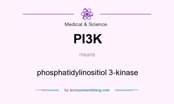 What does PI3K mean? It stands for phosphatidylinositiol 3-kinase