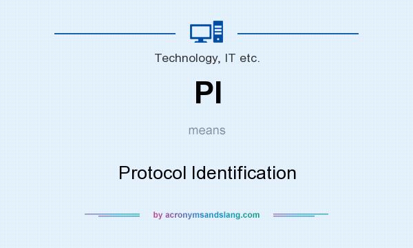 What does PI mean? It stands for Protocol Identification