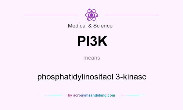 What does PI3K mean? It stands for phosphatidylinositaol 3-kinase