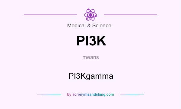 What does PI3K mean? It stands for PI3Kgamma