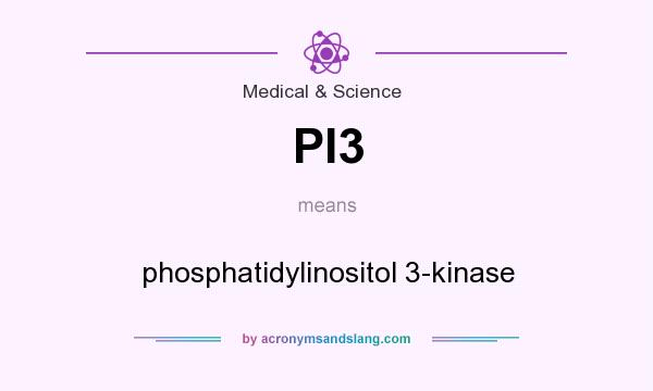 What does PI3 mean? It stands for phosphatidylinositol 3-kinase