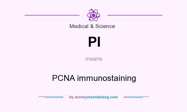 What does PI mean? It stands for PCNA immunostaining