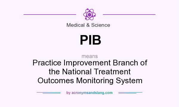 What does PIB mean? It stands for Practice Improvement Branch of the National Treatment Outcomes Monitoring System