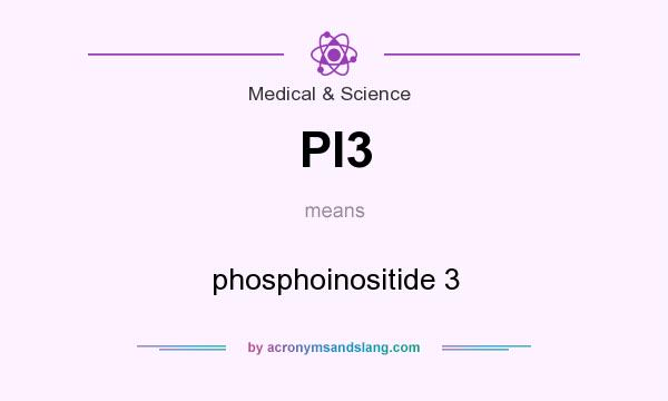 What does PI3 mean? It stands for phosphoinositide 3