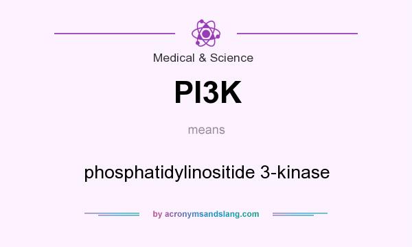 What does PI3K mean? It stands for phosphatidylinositide 3-kinase