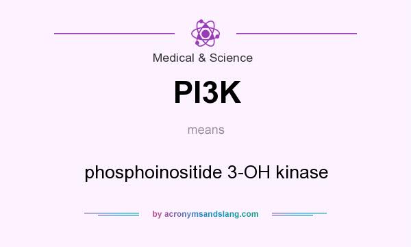 What does PI3K mean? It stands for phosphoinositide 3-OH kinase