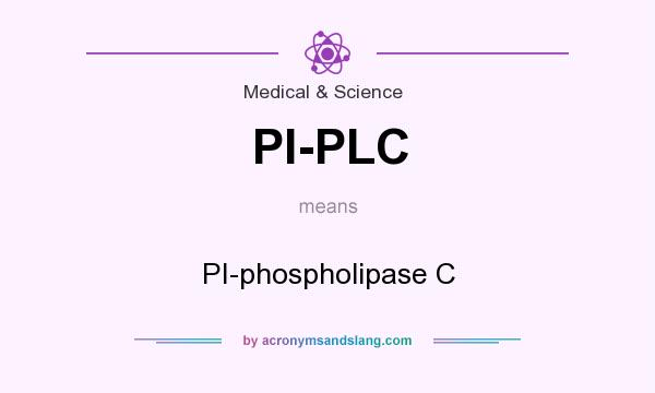 What does PI-PLC mean? It stands for PI-phospholipase C