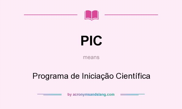 What does PIC mean? It stands for Programa de Iniciação Científica
