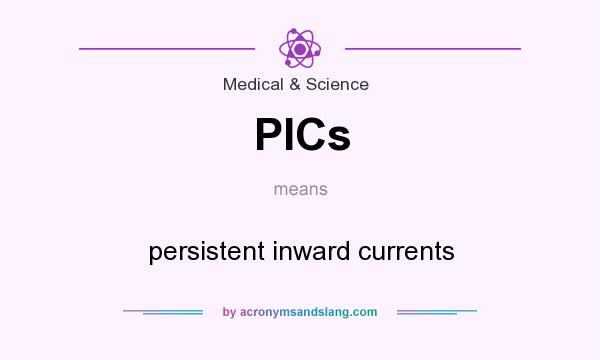What does PICs mean? It stands for persistent inward currents