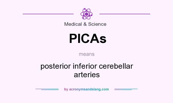 What does PICAs mean? It stands for posterior inferior cerebellar arteries
