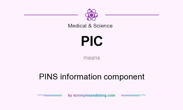 What does PIC mean? It stands for PINS information component