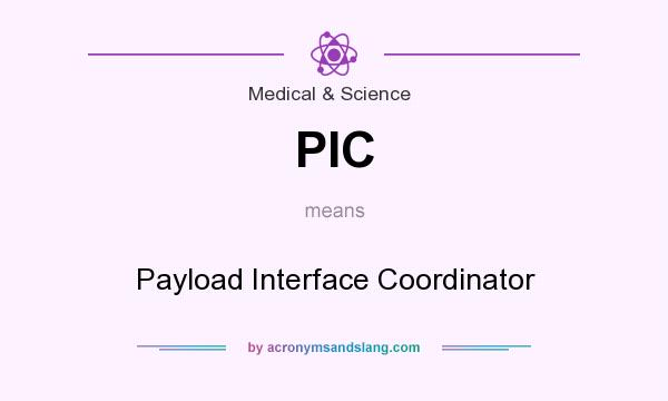 What does PIC mean? It stands for Payload Interface Coordinator