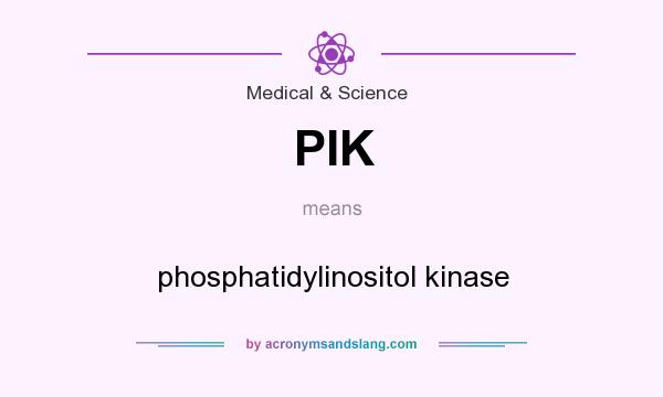 What does PIK mean? It stands for phosphatidylinositol kinase