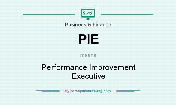 What does PIE mean? It stands for Performance Improvement Executive