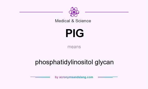 What does PIG mean? It stands for phosphatidylinositol glycan